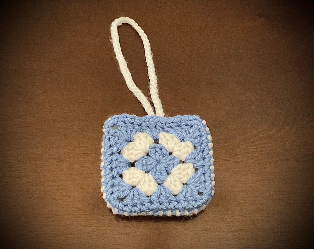 Earbuds Pouch