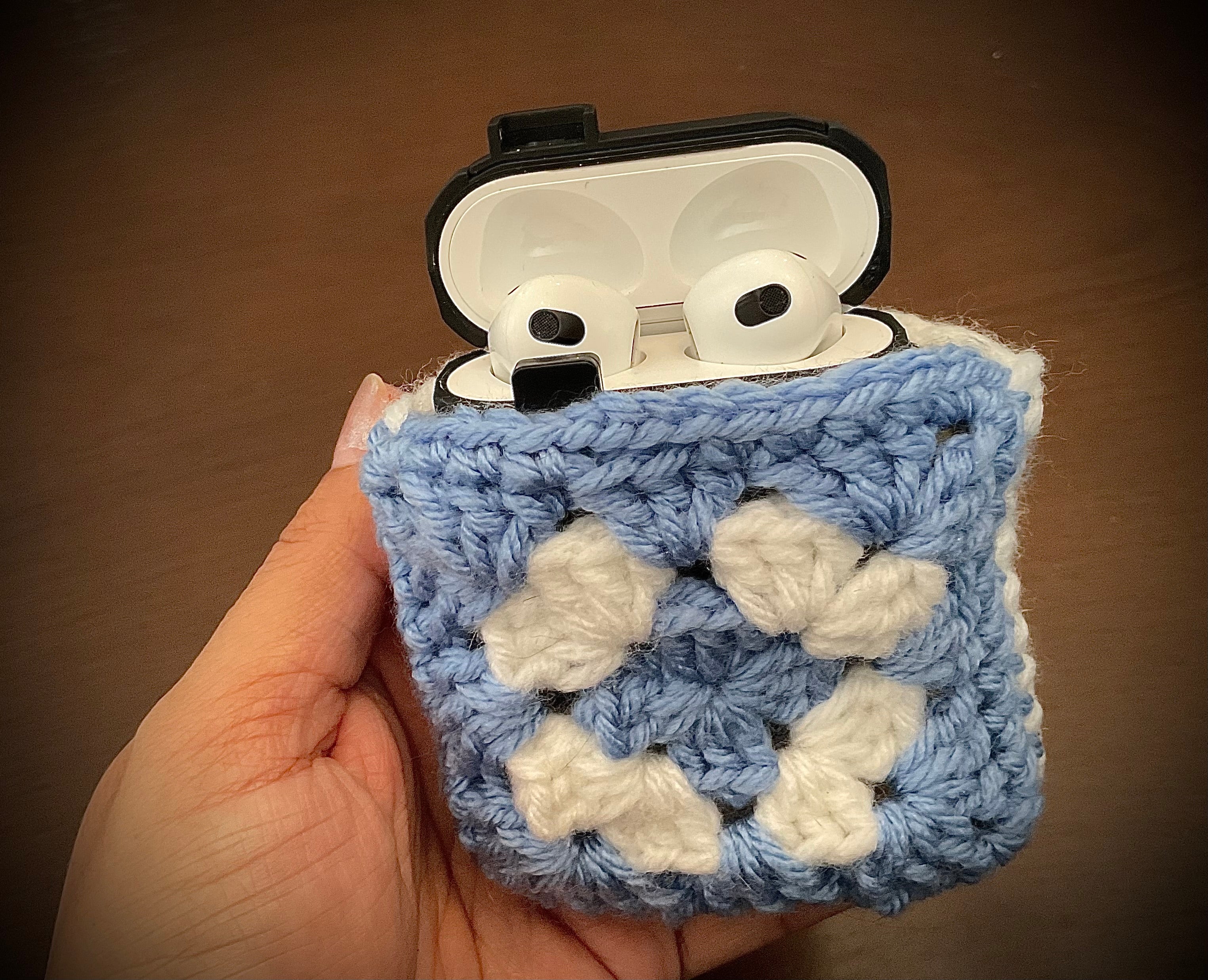 Earbuds Pouch
